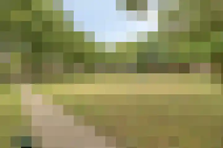 Haneven 49 Goirle thumbnail 49
