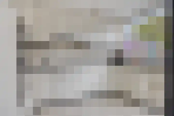 Haneven 49 Goirle thumbnail 6