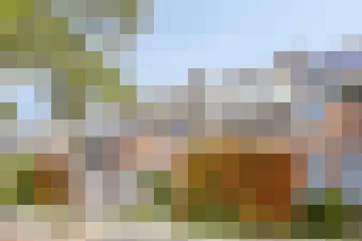 Haneven 49 Goirle thumbnail 9