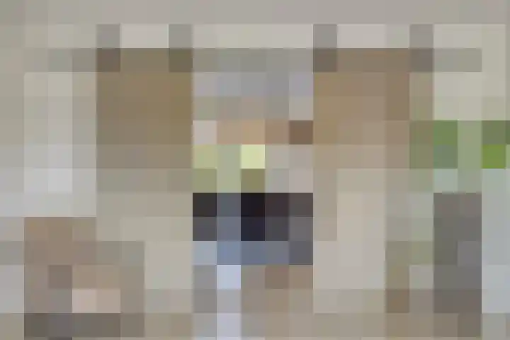 Haneweg 13 b Heerde thumbnail 15