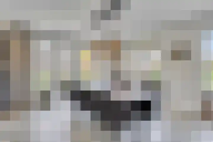 Haneweg 13 b Heerde thumbnail 17