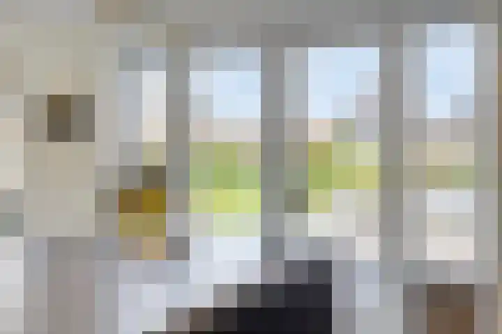 Haneweg 13 b Heerde thumbnail 22