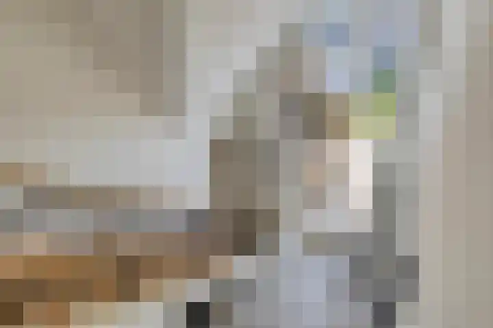 Haneweg 13 b Heerde thumbnail 32