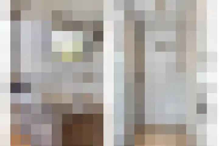 Haneweg 13 b Heerde thumbnail 38