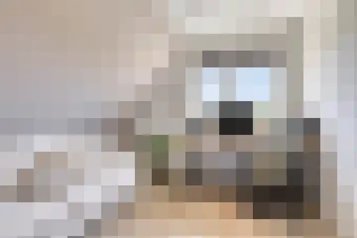 Haneweg 13 b Heerde thumbnail 39