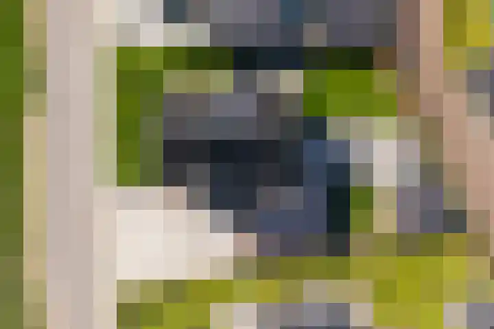 Haneweg 13 b Heerde thumbnail 42