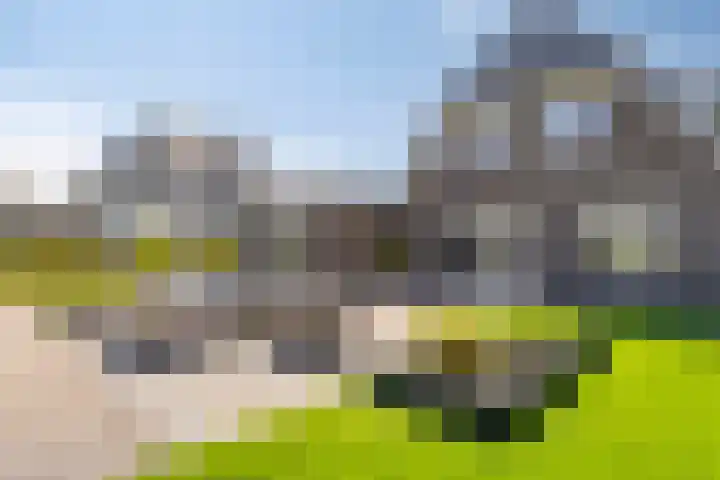 Haneweg 13 b Heerde thumbnail 44