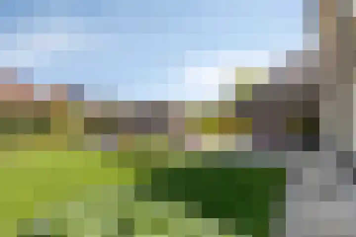 Haneweg 13 b Heerde thumbnail 46