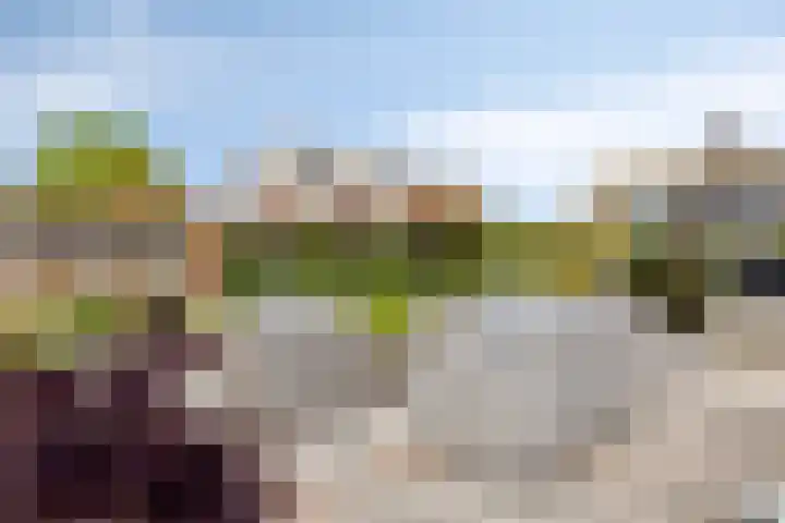 Haneweg 13 b Heerde thumbnail 47