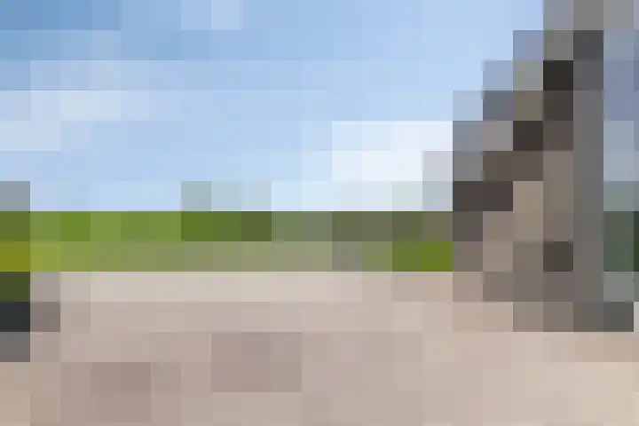 Haneweg 13 b Heerde thumbnail 5