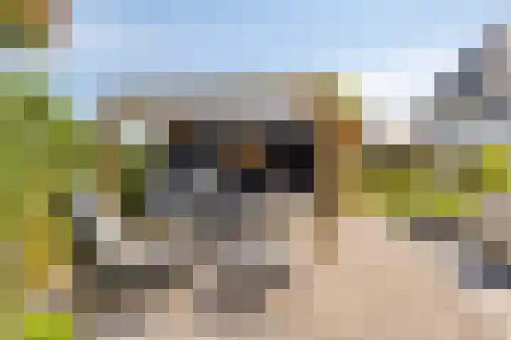 Haneweg 13 b Heerde thumbnail 50