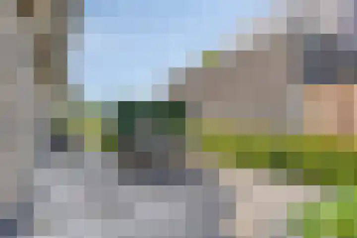 Haneweg 13 b Heerde thumbnail 53