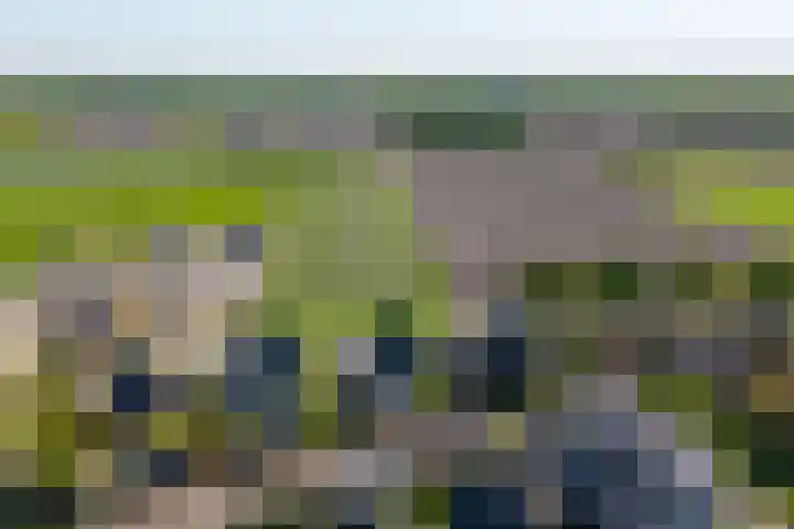 Haneweg 13 b Heerde thumbnail 64