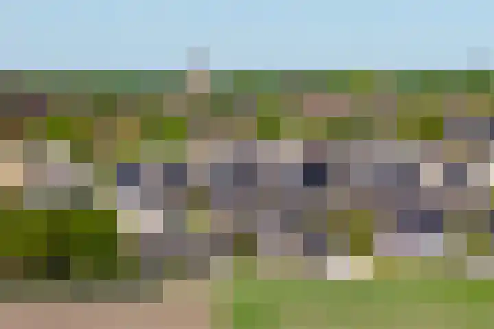 Haneweg 13 b Heerde thumbnail 65
