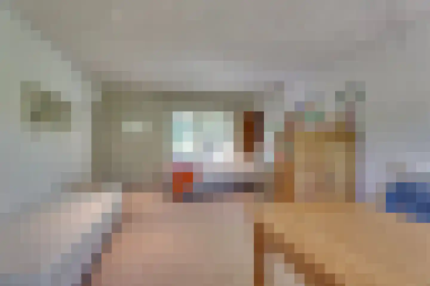 Haneweg 29 Heerde thumbnail 31