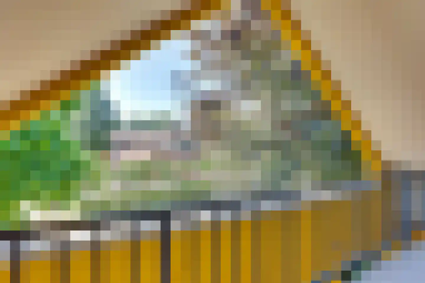 Haneweg 29 Heerde thumbnail 41