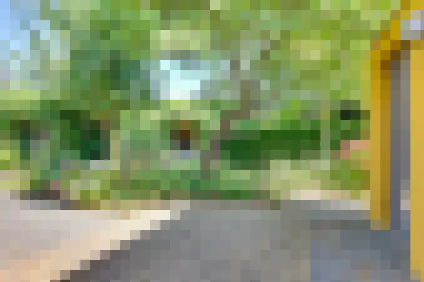 Haneweg 29 Heerde thumbnail 49