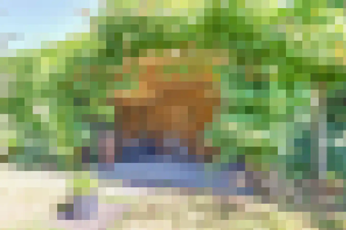 Haneweg 29 Heerde thumbnail 51
