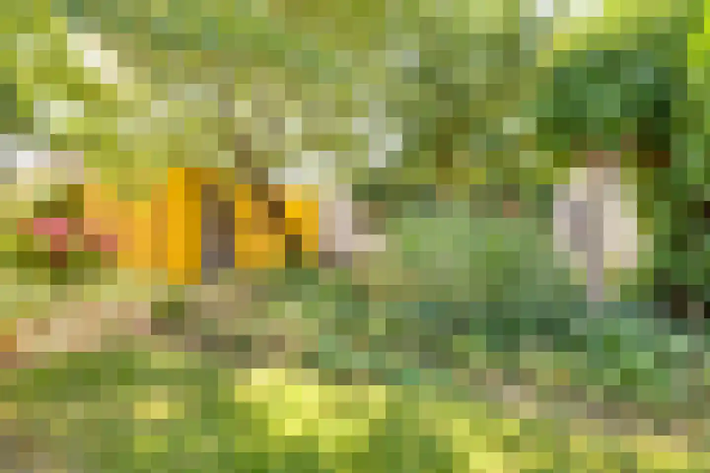 Haneweg 29 Heerde thumbnail 53