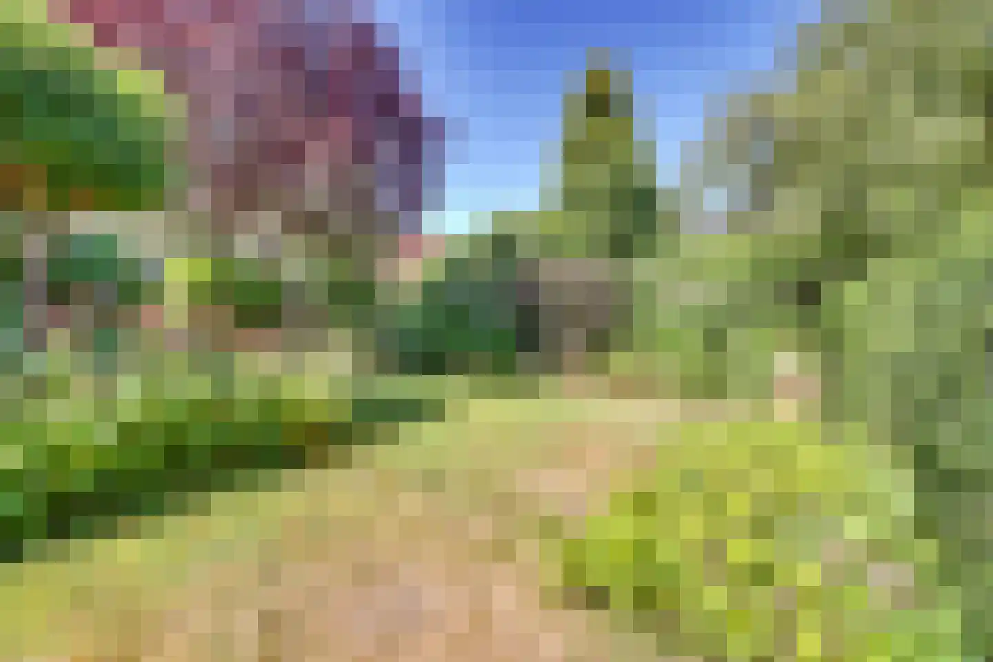 Haneweg 29 Heerde thumbnail 56