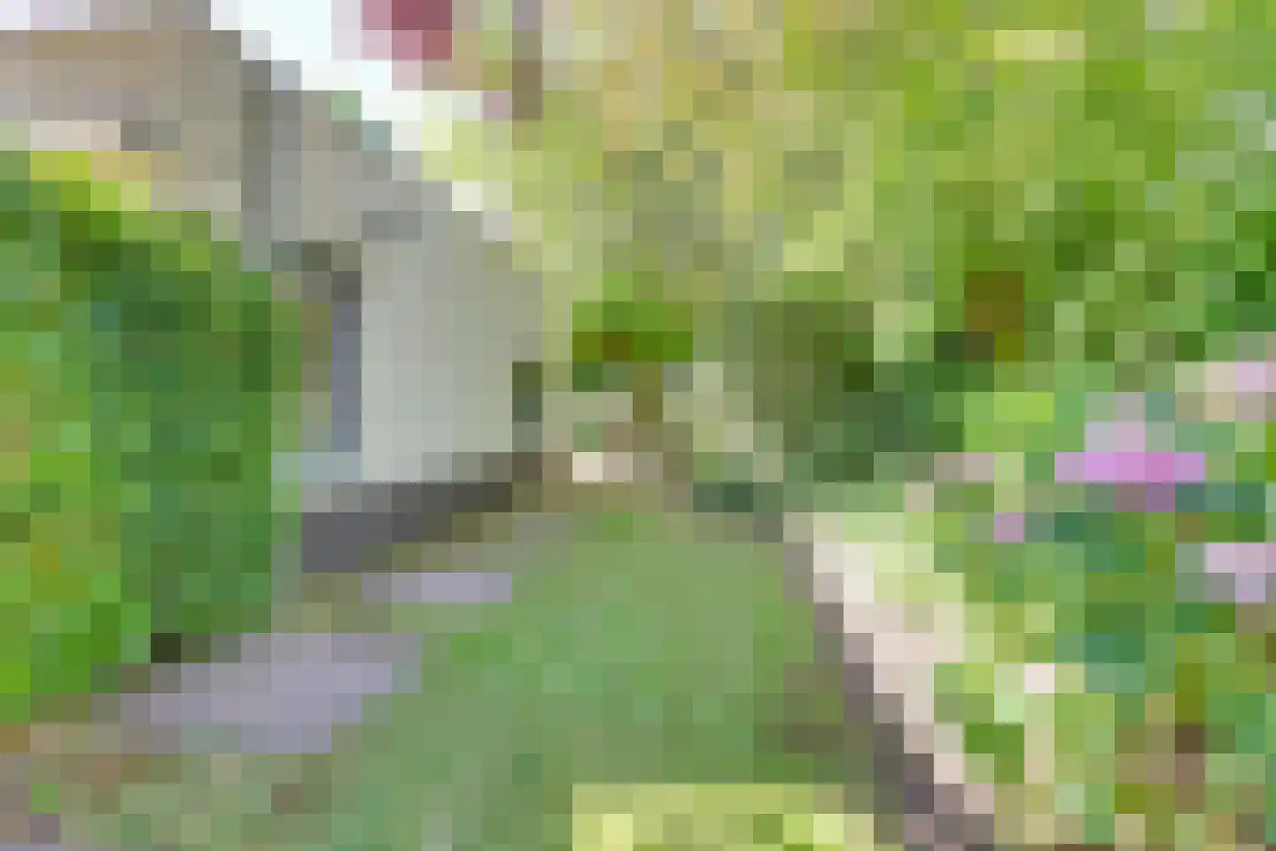 Haneweg 29 Heerde thumbnail 61
