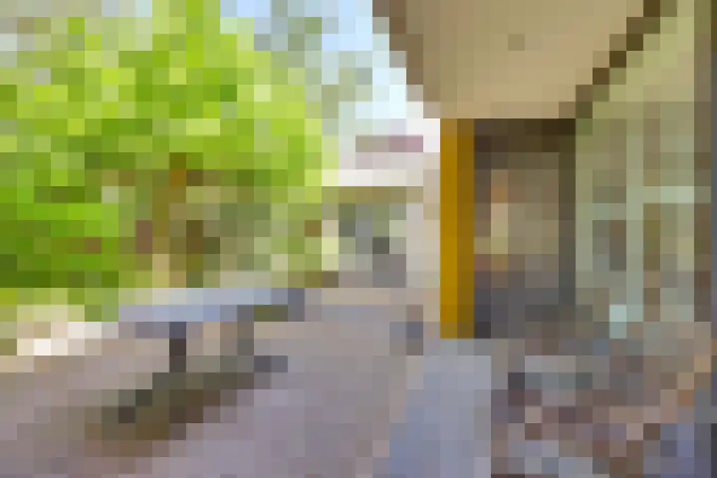 Haneweg 29 Heerde thumbnail 64