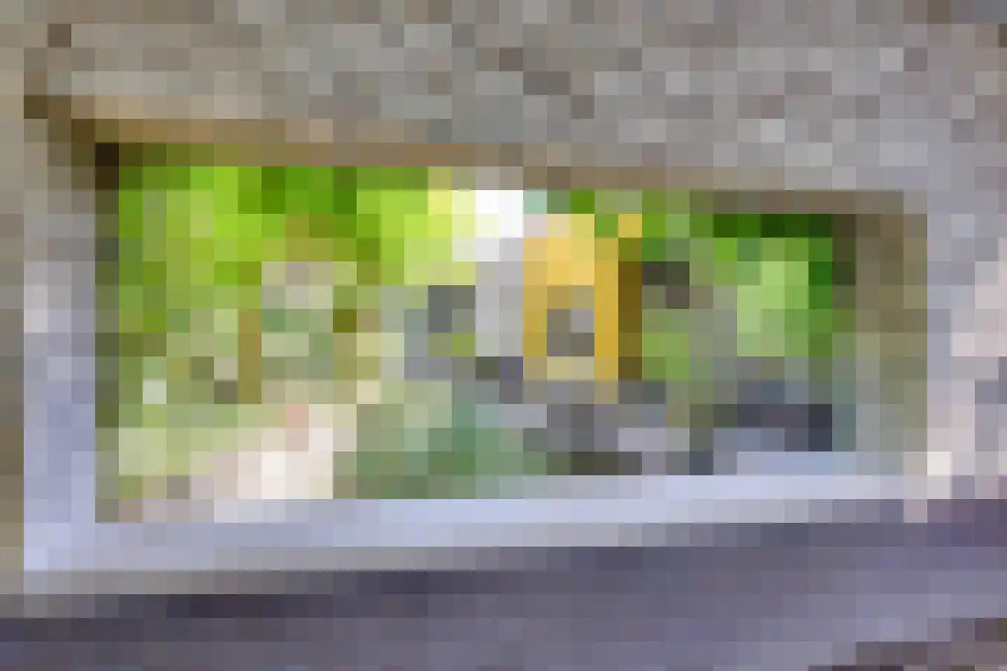 Haneweg 29 Heerde thumbnail 65