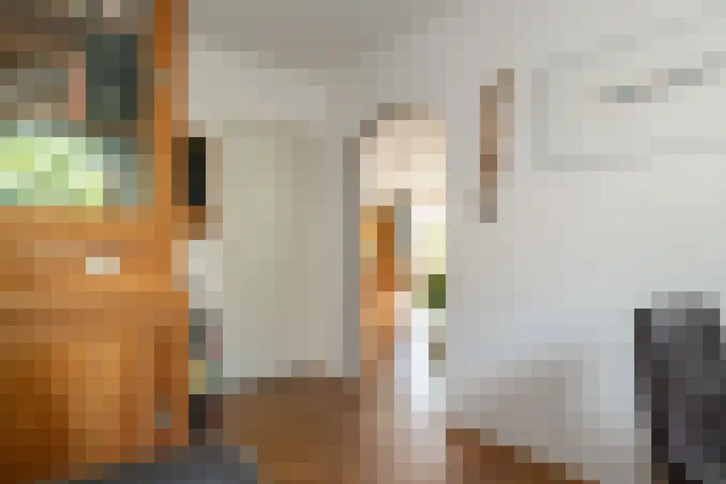 Haneweg 33 Heerde thumbnail 12