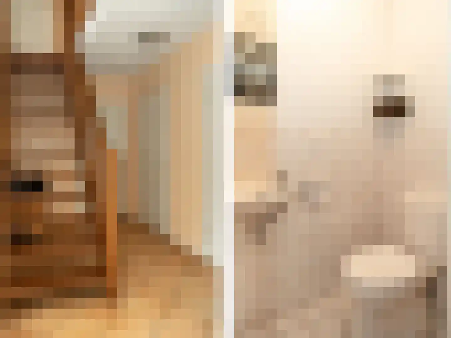 Haneweg 33 Heerde thumbnail 16