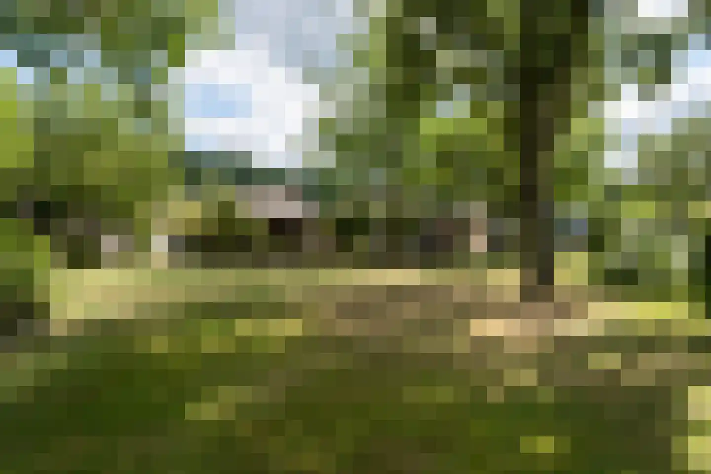 Haneweg 33 Heerde thumbnail 29