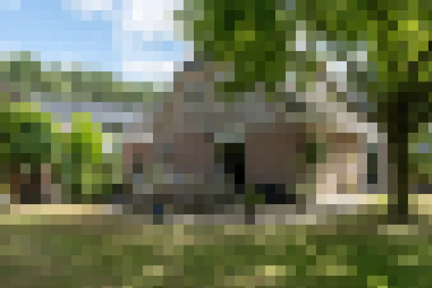 Haneweg 33 Heerde thumbnail 30