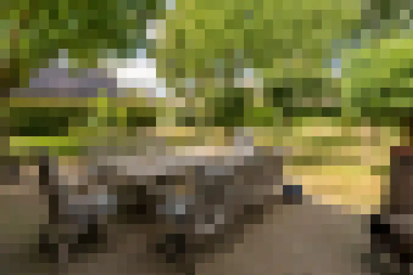 Haneweg 33 Heerde thumbnail 32