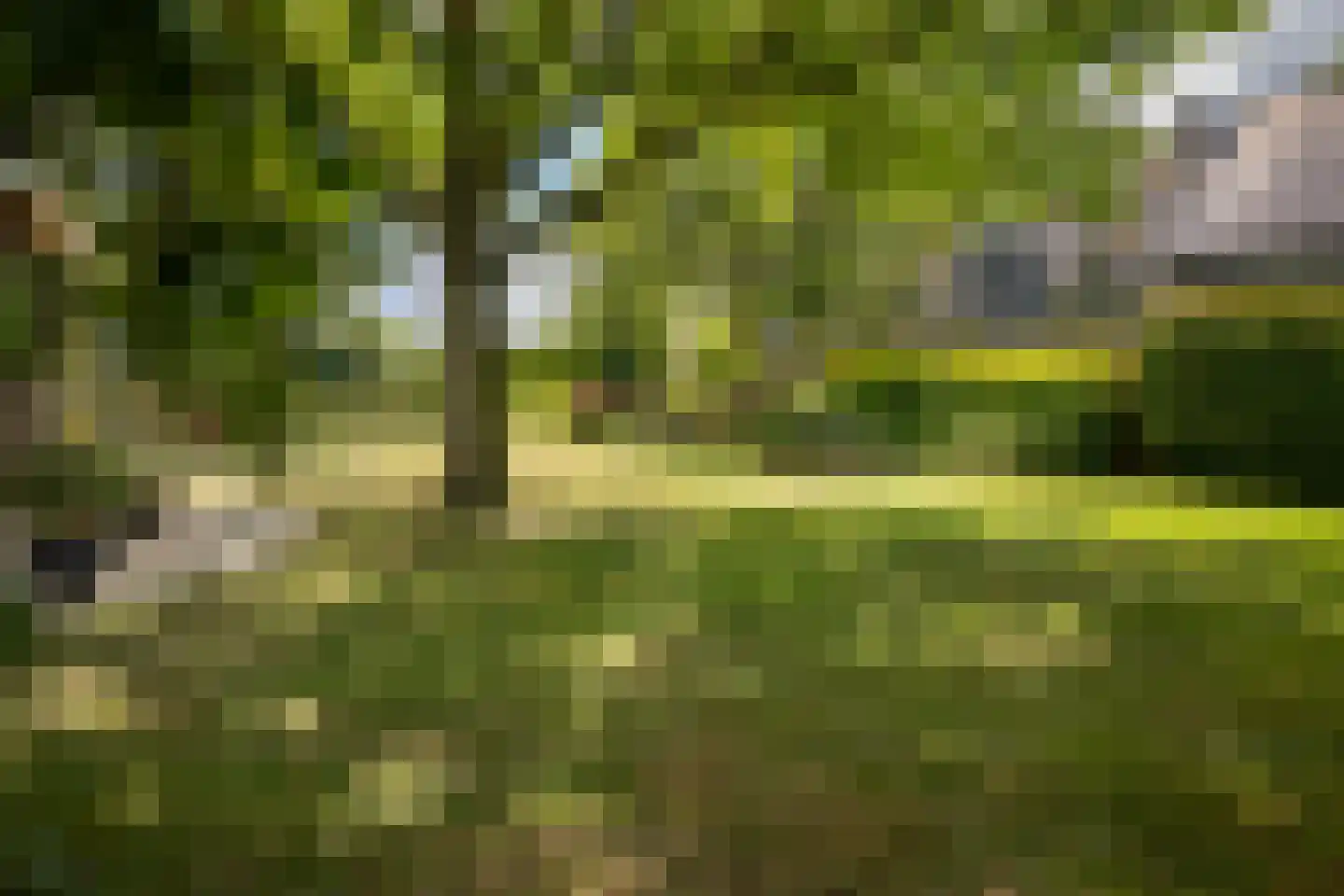 Haneweg 33 Heerde thumbnail 38