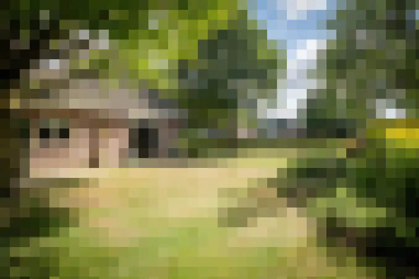 Haneweg 33 Heerde thumbnail 40