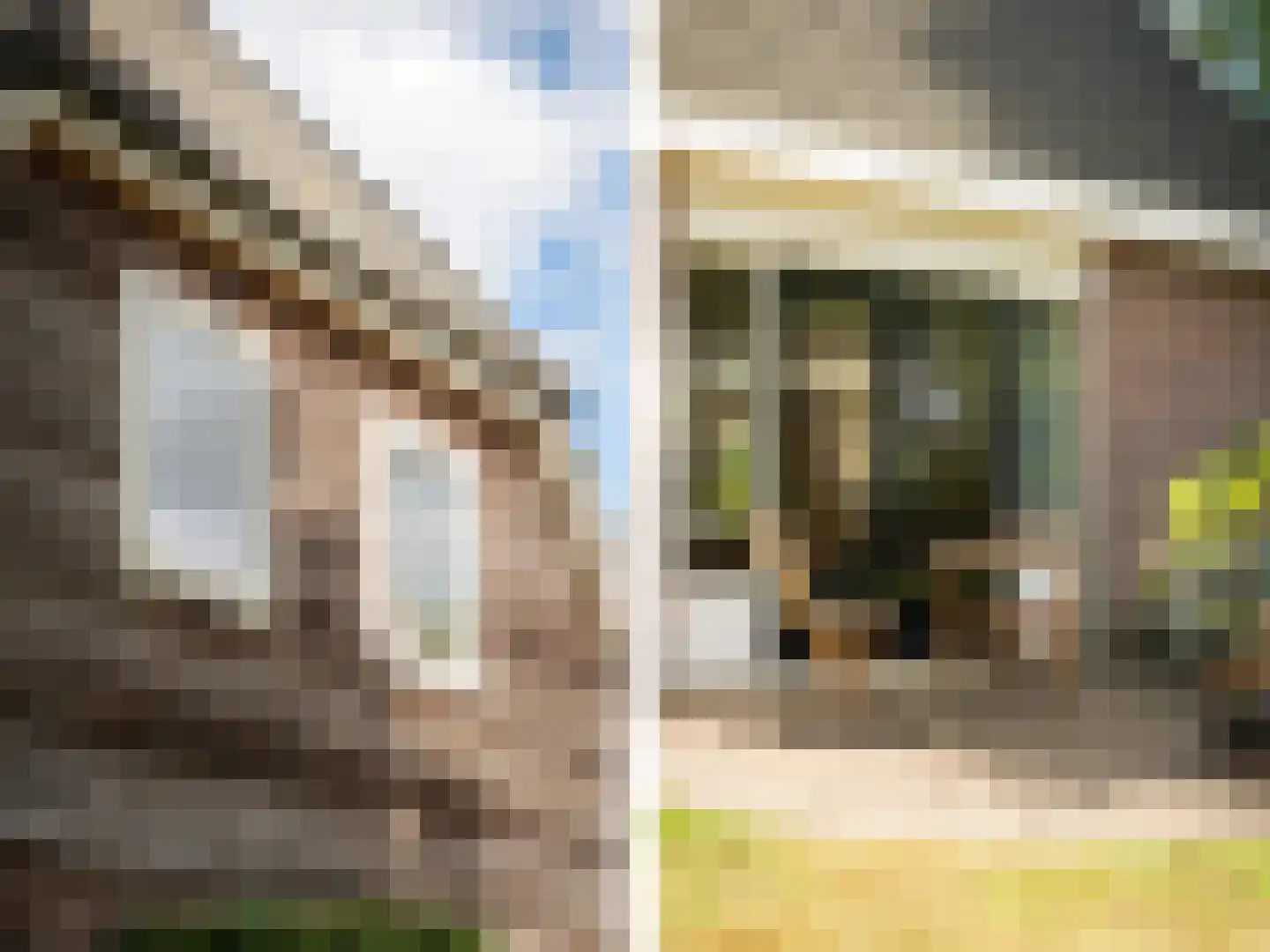 Haneweg 33 Heerde thumbnail 41