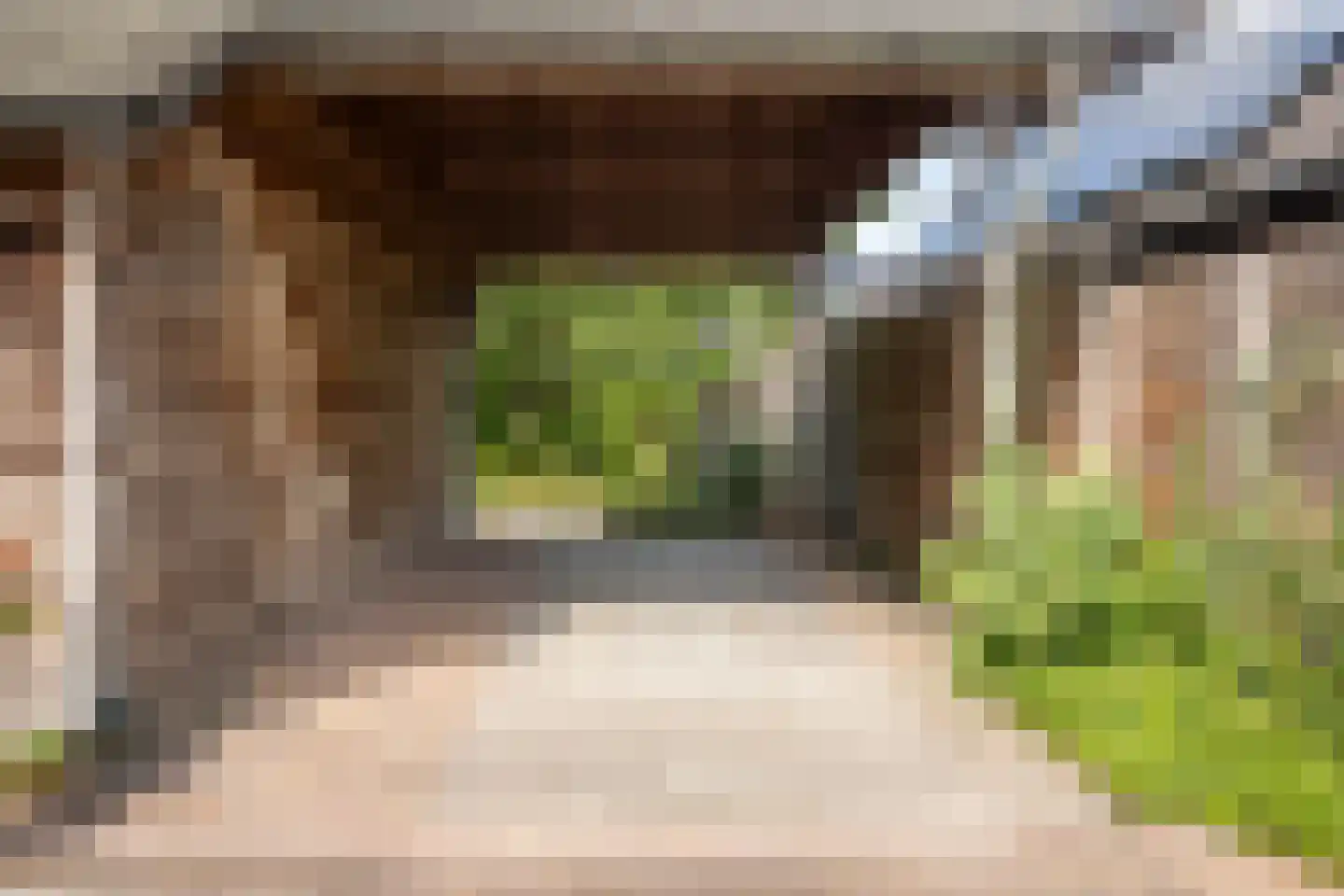 Haneweg 33 Heerde thumbnail 42