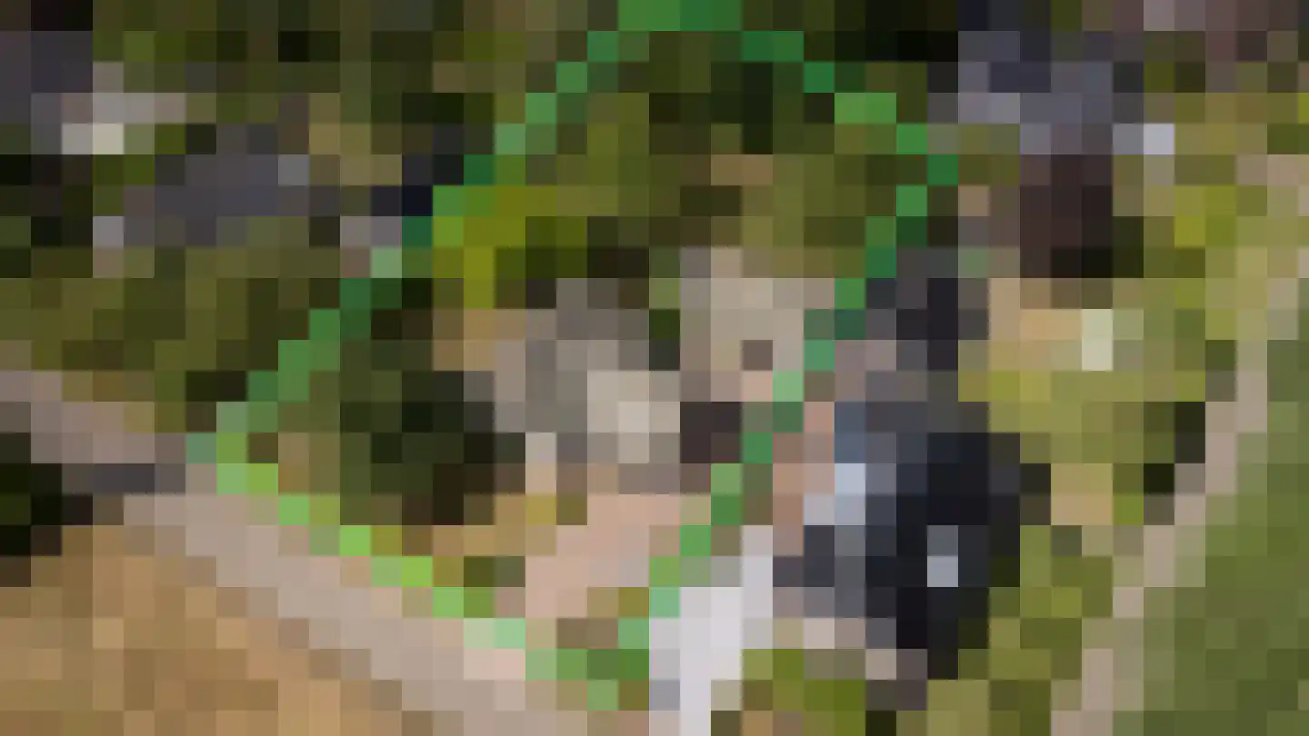 Haneweg 33 Heerde thumbnail 45