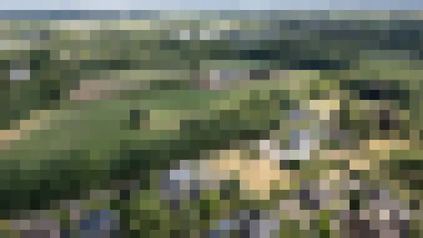 Haneweg 33 Heerde thumbnail 46