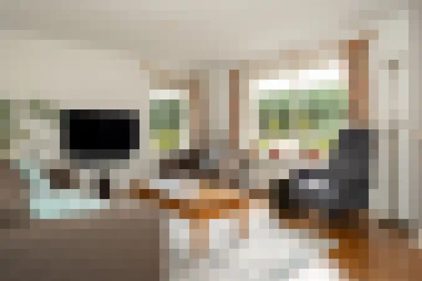 Haneweg 33 Heerde thumbnail 7