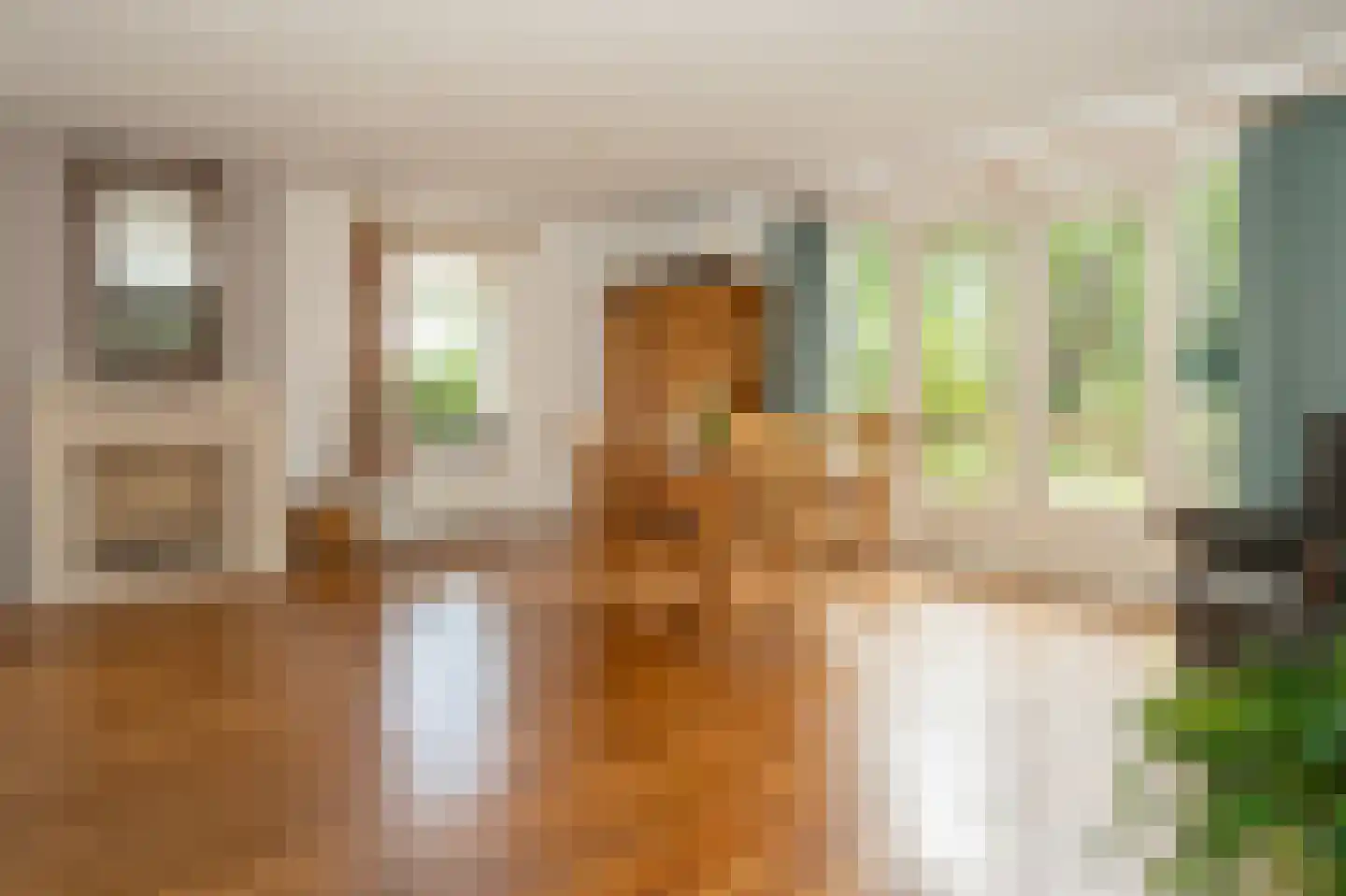 Haneweg 33 Heerde thumbnail 8