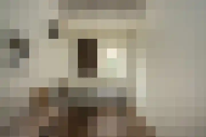 Hanewinkelstraat 2 Bergeijk thumbnail 16