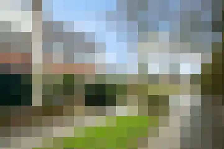 Hanewinkelstraat 2 Bergeijk thumbnail 22