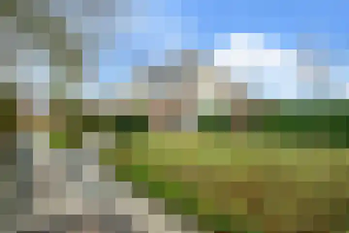 Hanewinkelstraat 2 Bergeijk thumbnail 23