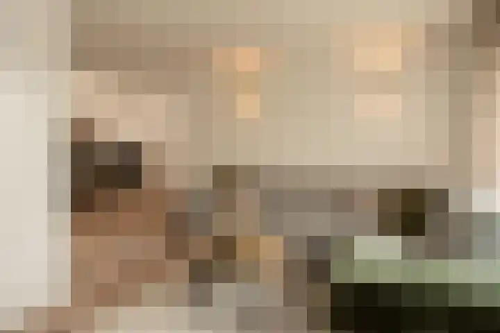 Hanewinkelstraat 2 Bergeijk thumbnail 7