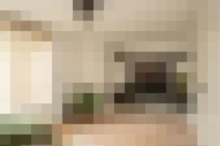 Hanewinkelstraat 2 Bergeijk thumbnail 8