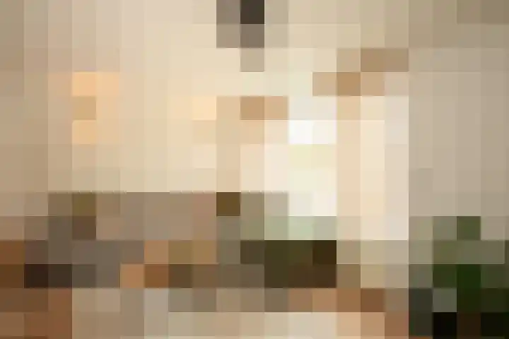 Hanewinkelstraat 2 Bergeijk thumbnail 9