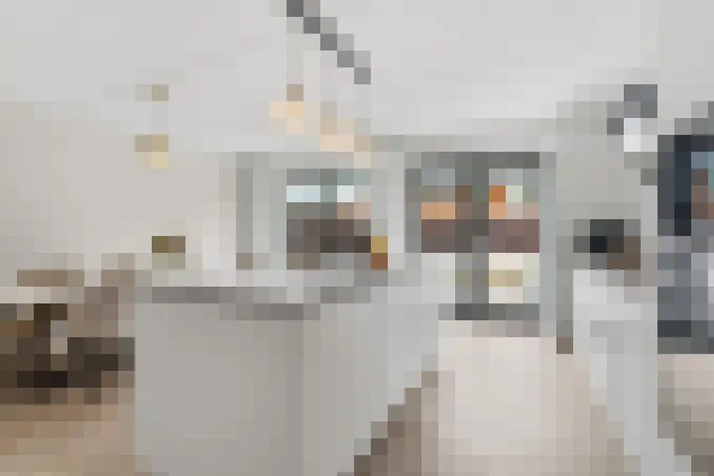 Hangbrug 10 Arnhem thumbnail 16