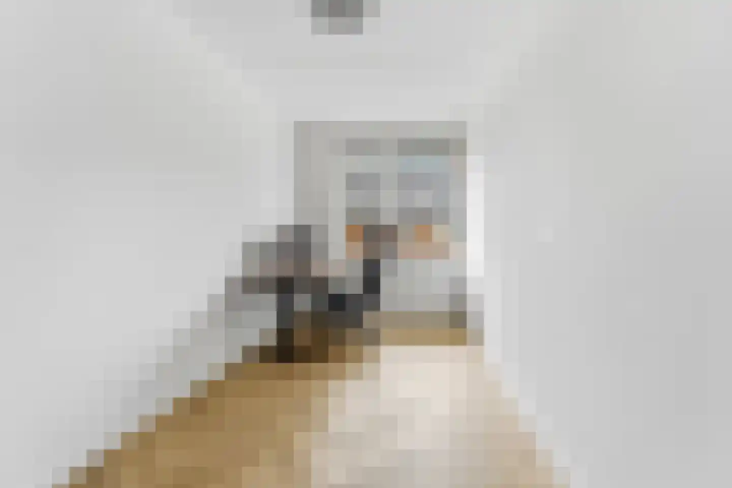 Hangbrug 10 Arnhem thumbnail 29