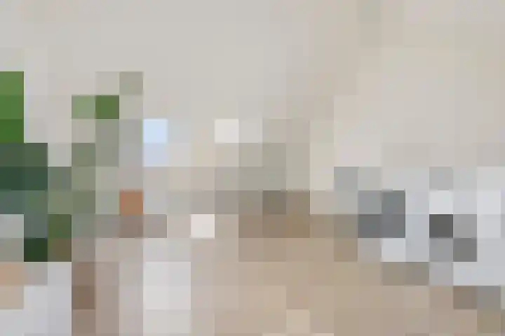 Hangbrug 6 Arnhem thumbnail 22