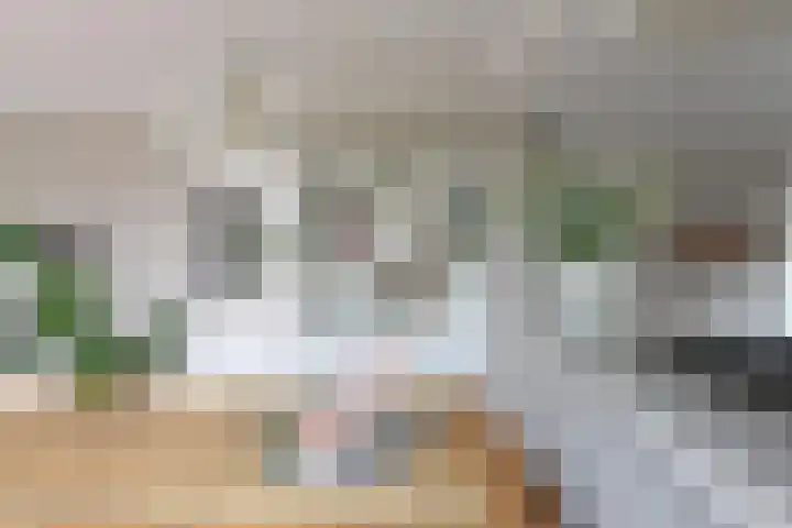 Hangenweg 6 Huizen thumbnail 10